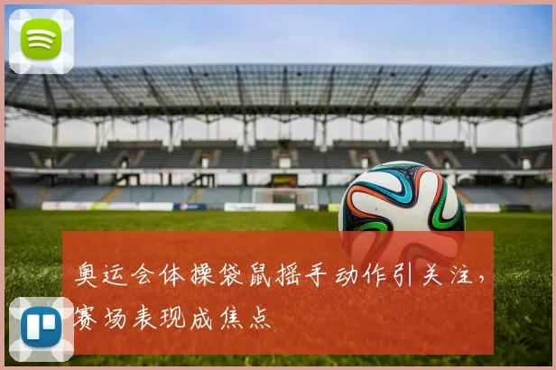 奥运会体操袋鼠摇手动作引关注,赛场表现成焦点