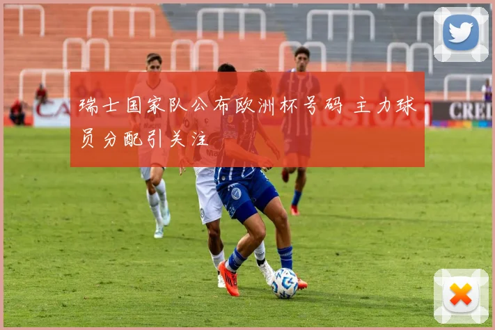 瑞士国家队公布欧洲杯号码 主力球员分配引关注