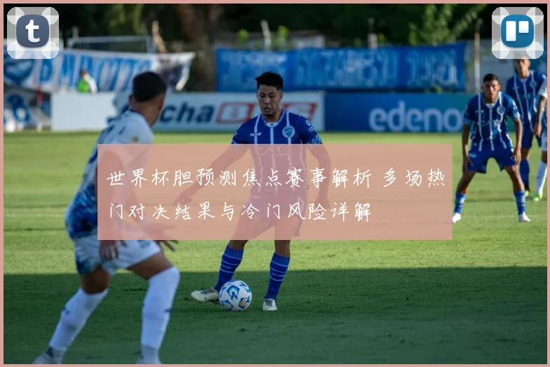 世界杯胆预测焦点赛事解析 多场热门对决结果与冷门风险详解